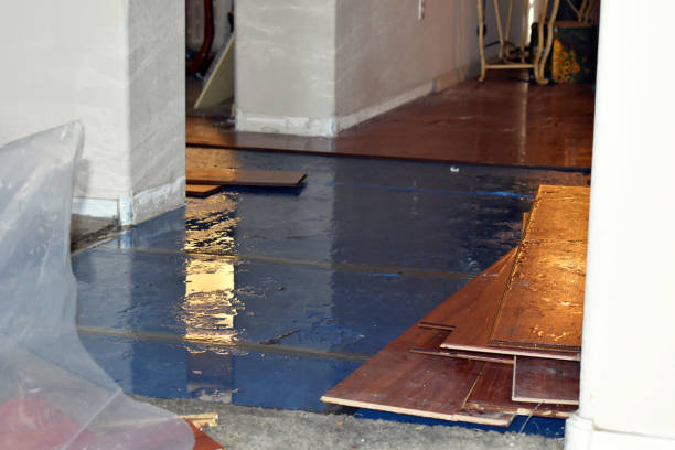 Professional Basement Flood Cleanup technician working in Boomer, WV